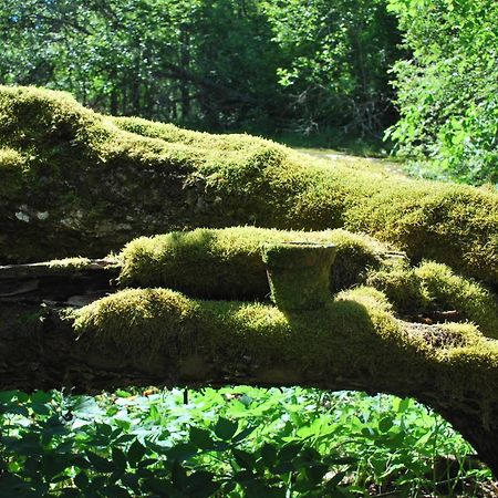 Kirjakkalan Ruukkikylae Teijo Pokoj fotografie